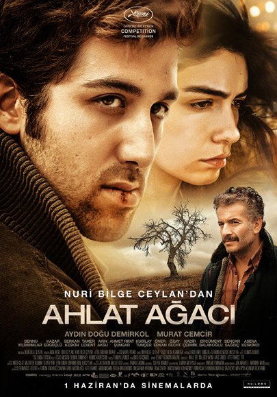 Serenad Göksel - Ahlat ağacı eleştirisi