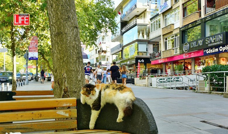  fotoğrafı