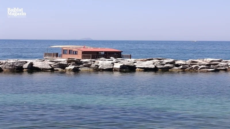  fotoğrafı